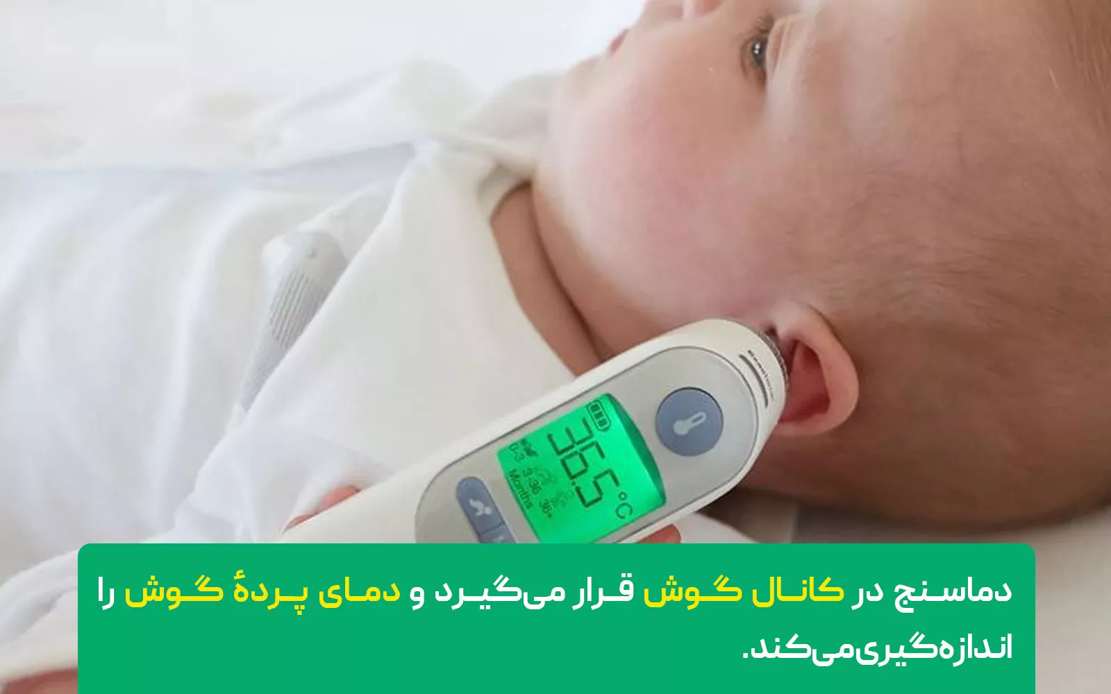 دمای گوش (Tympanic)