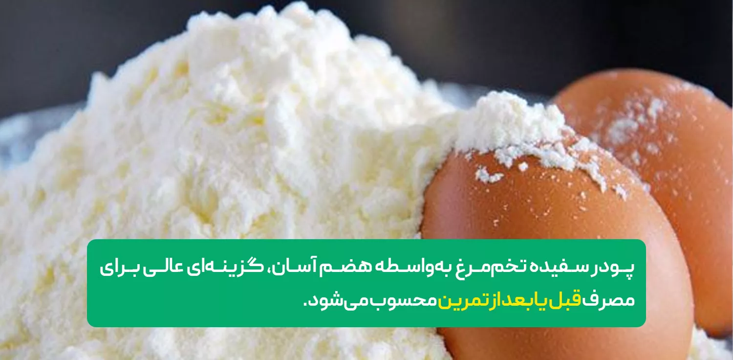 معرفی پودر سفیده تخمه مرغ 