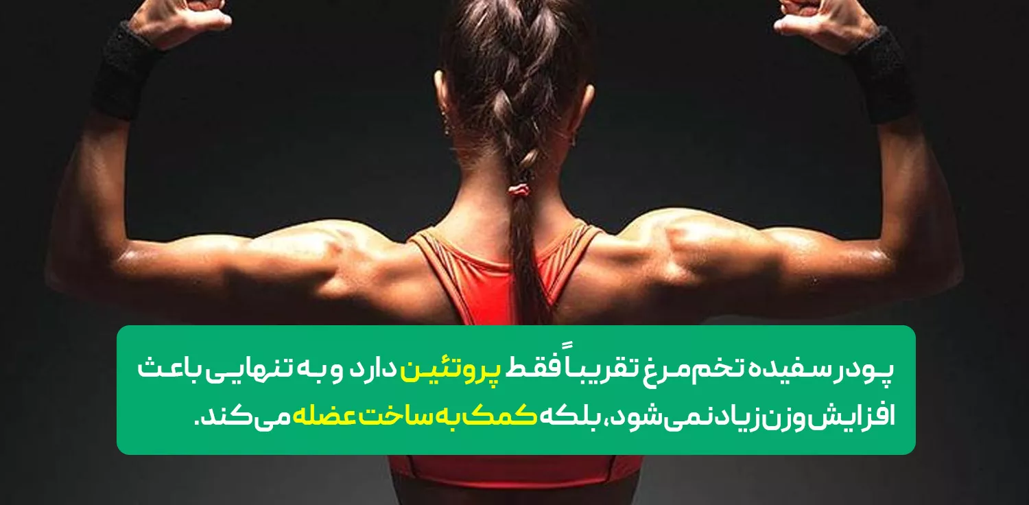  پودر سفیده تخم مرغ برای چاقی و افزایش وزن 
