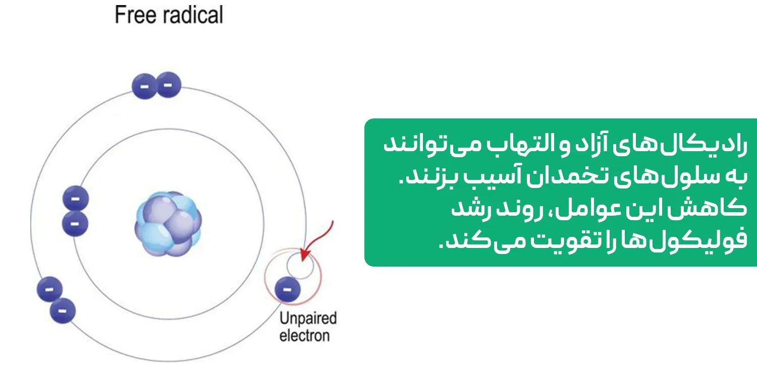 کاهش استرس اکسیداتیو و التهاب