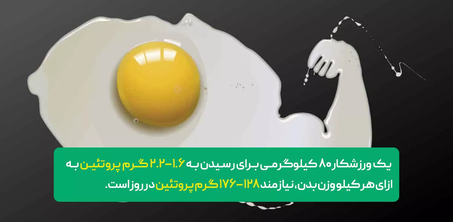 نحوه مصرف پودر سفیده تخم مرغ برای بدنسازی