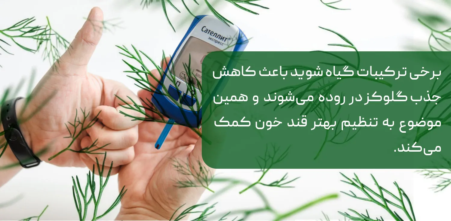خواص شوید برای کنترل کلسترول و قند خون