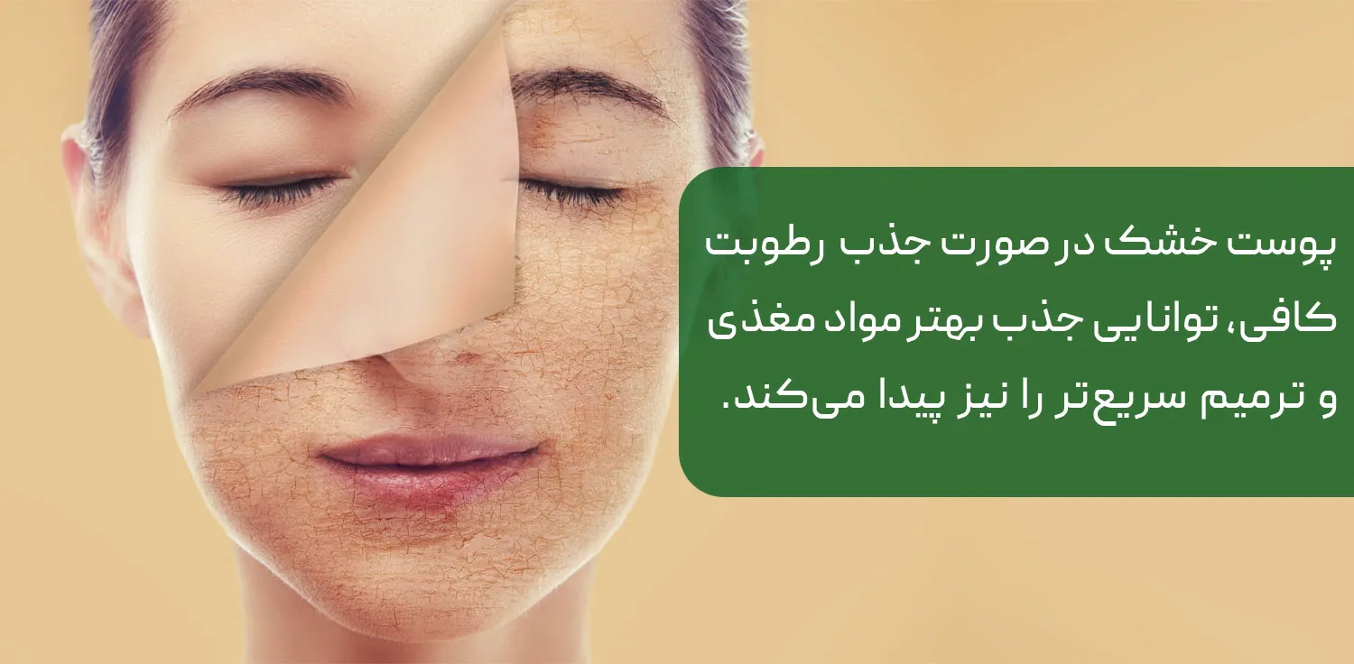 بهترین آبرسان برای پوست خشک