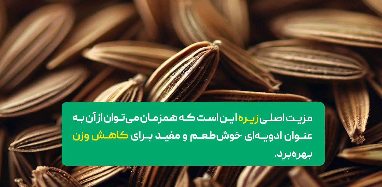 چاشنی زیره می‌تواند به کاهش وزن کمک کند.