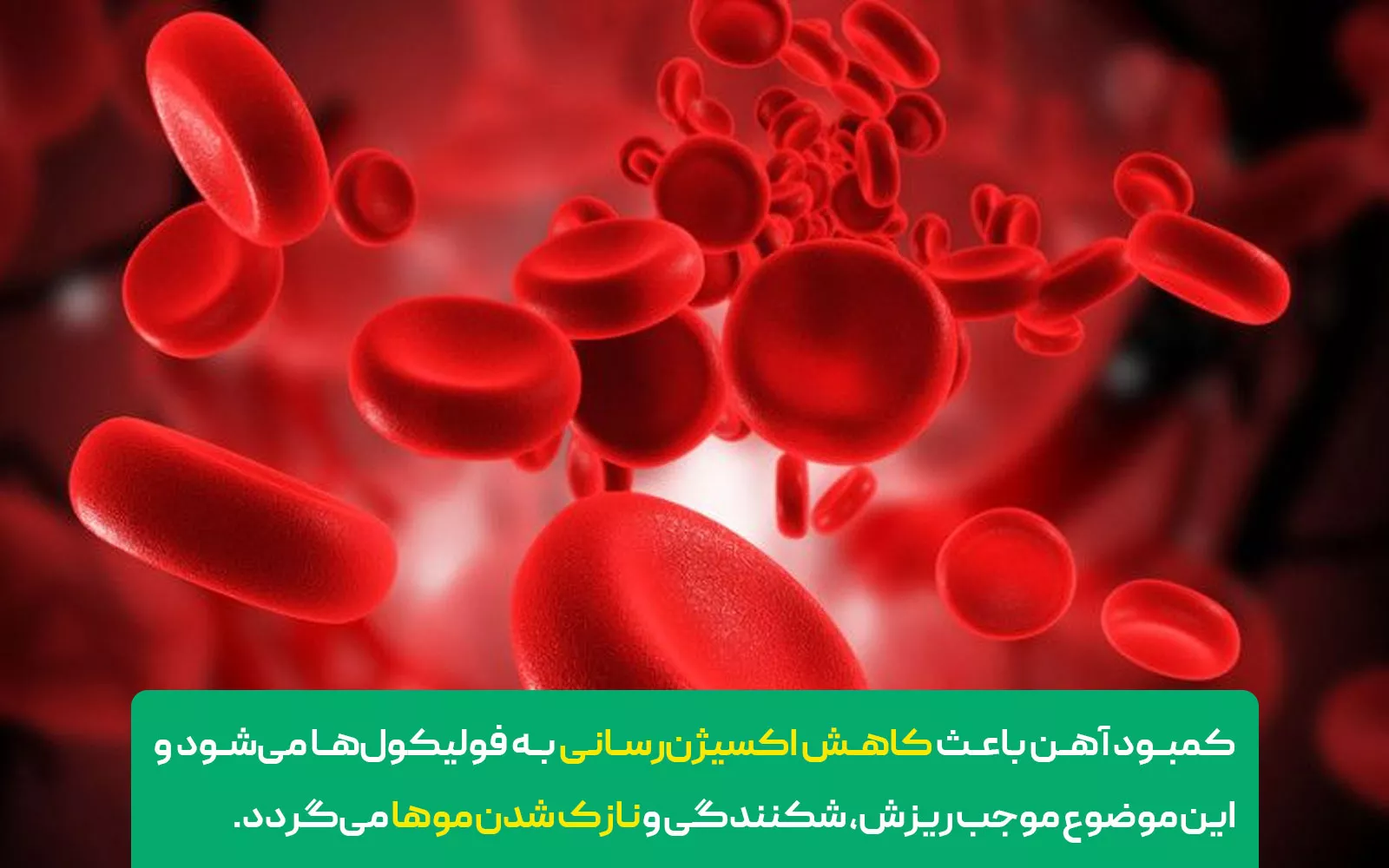 مواد معدنی لازم برای افزایش ضخامت مو