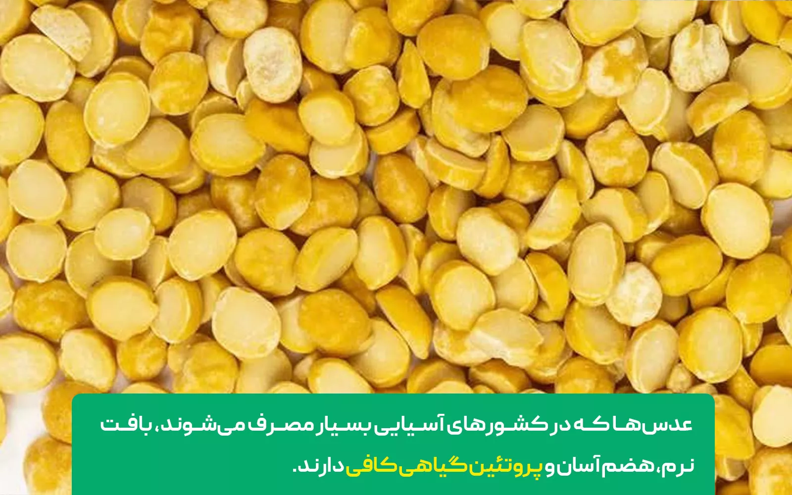 انواع عدس هندی مانند Toor Dal و Bengal Gram