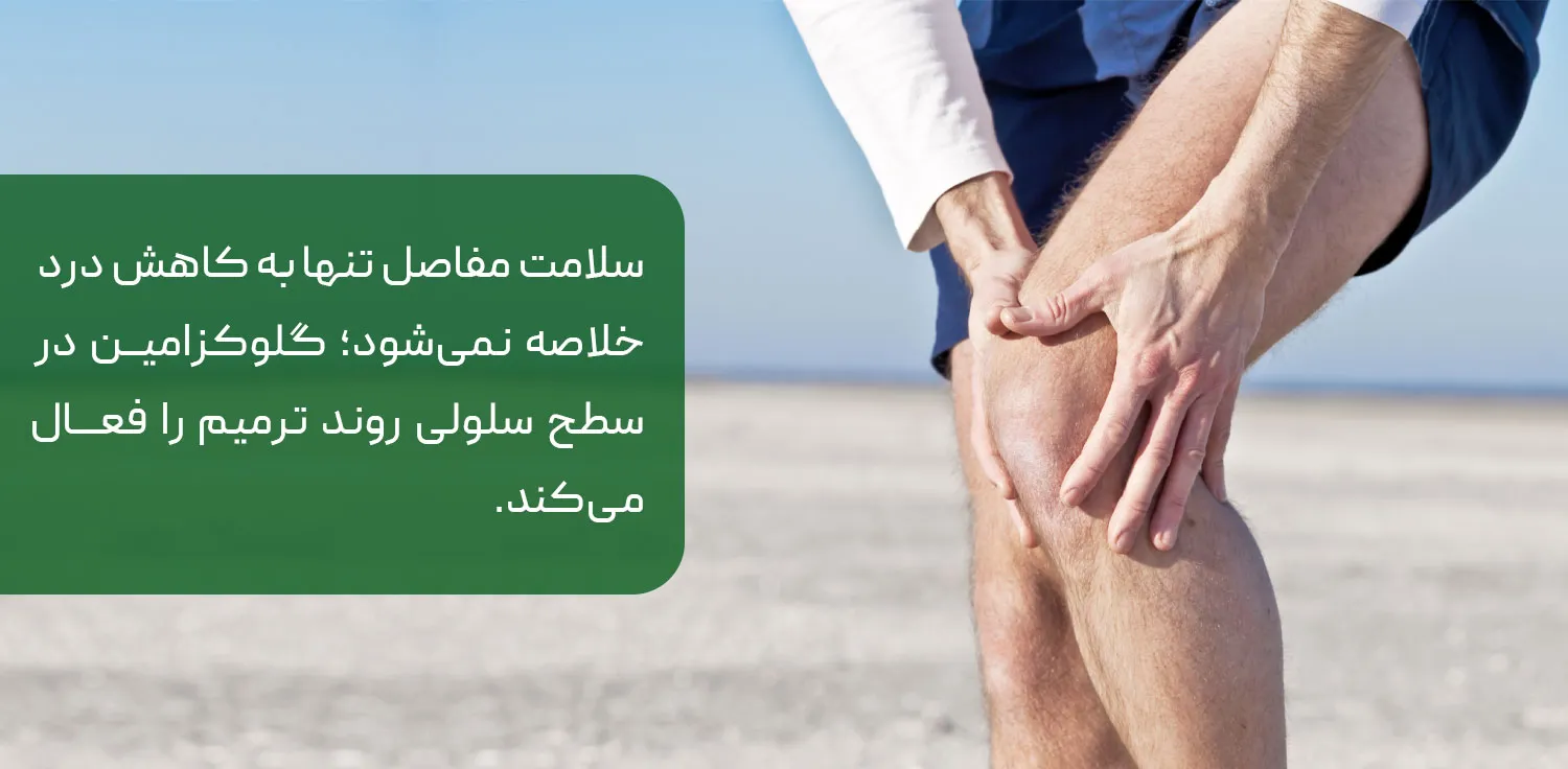 فواید مصرف گلوکزامین