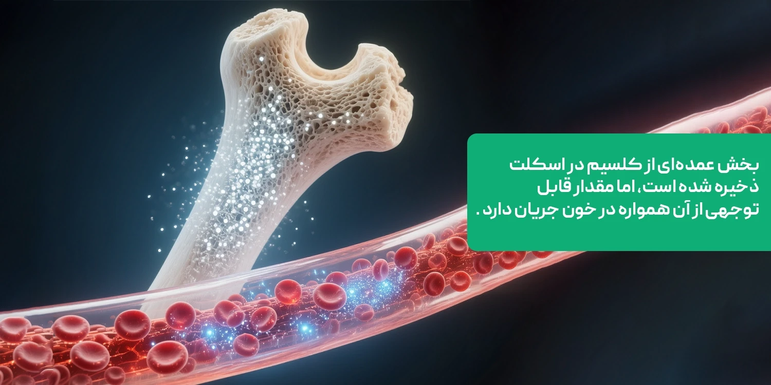 کلسیم چیست؟