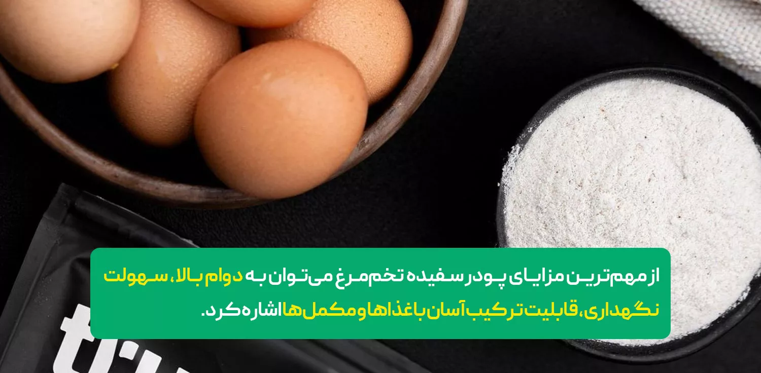 پودر سفیده تخمه مرغ چیست؟