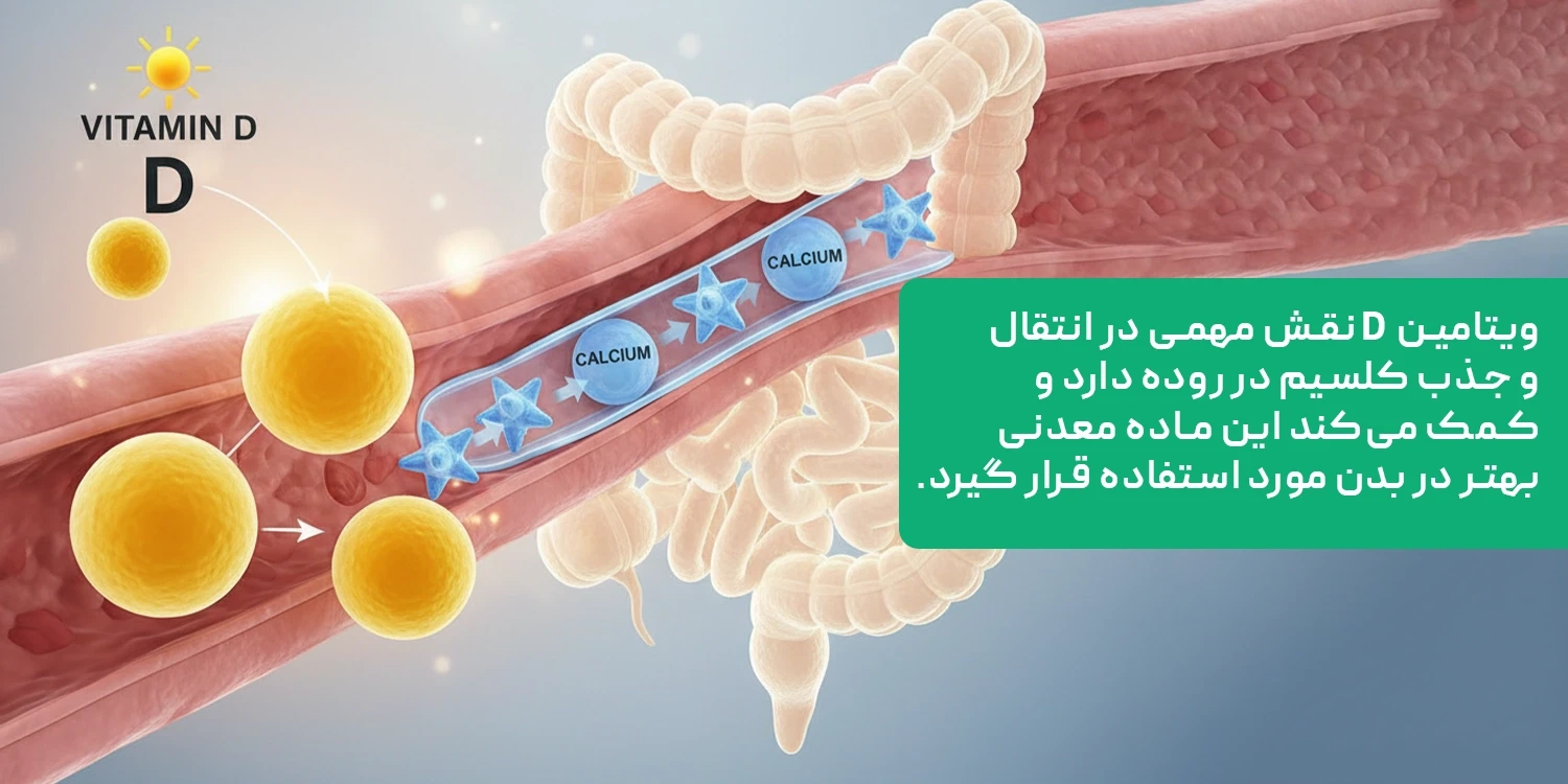 مصرف کلسیم همراه ویتامین D؛ افزایش جذب و اثرگذاری