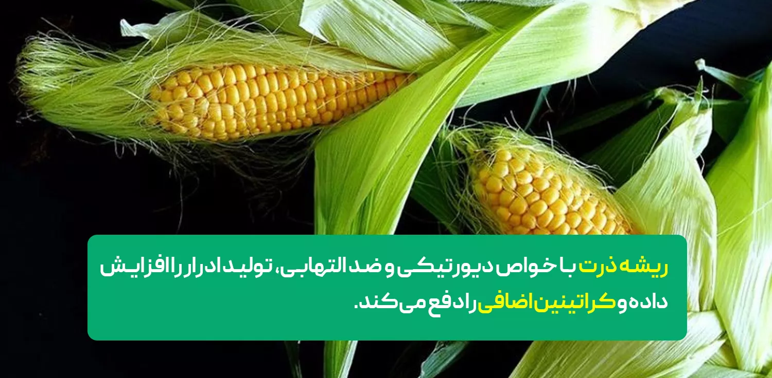  راه‌های مؤثر برای کاهش سطح کراتینین 