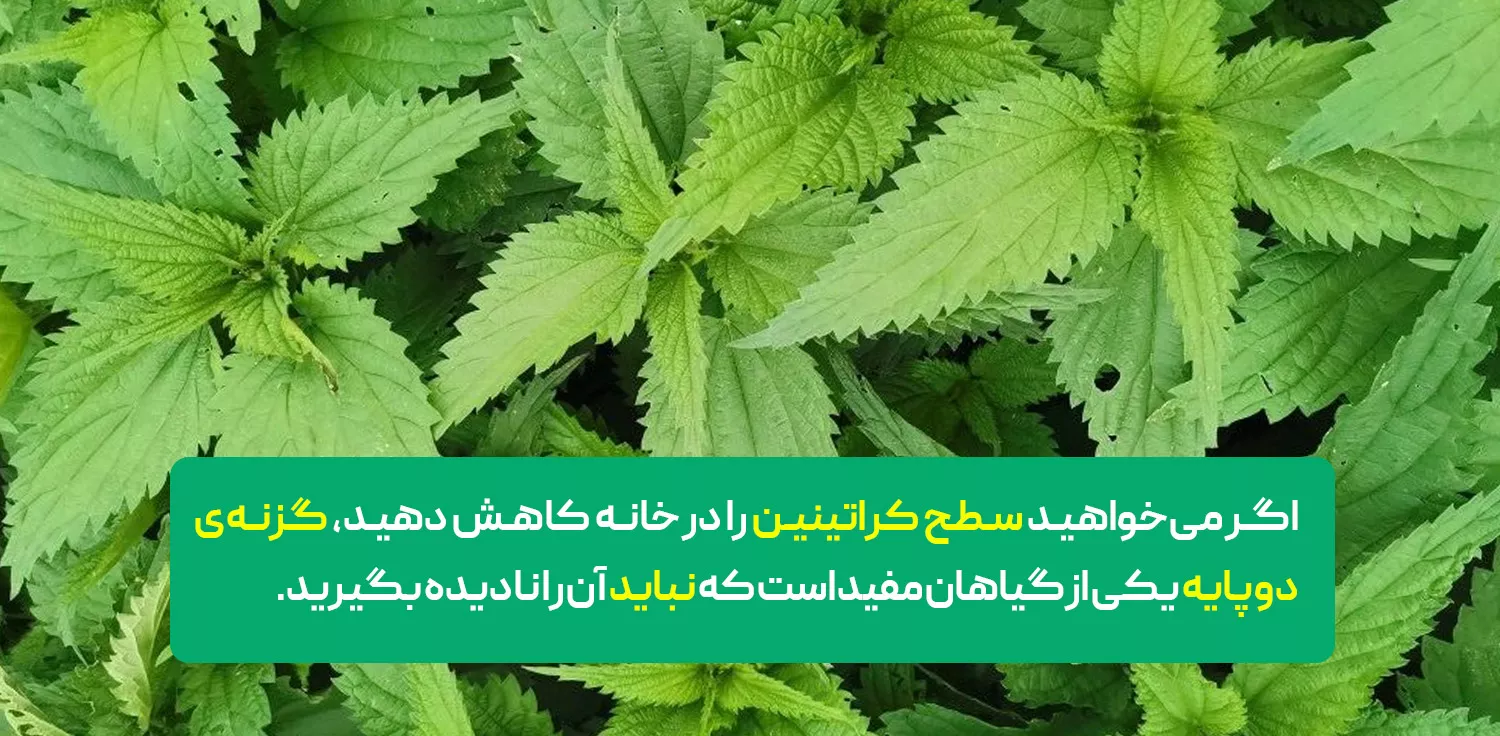  درمان فوری کراتین بالا 