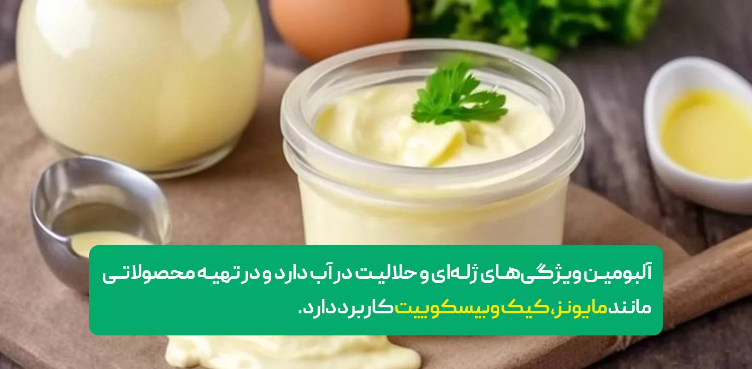 Ovalbumin (آلبومین)