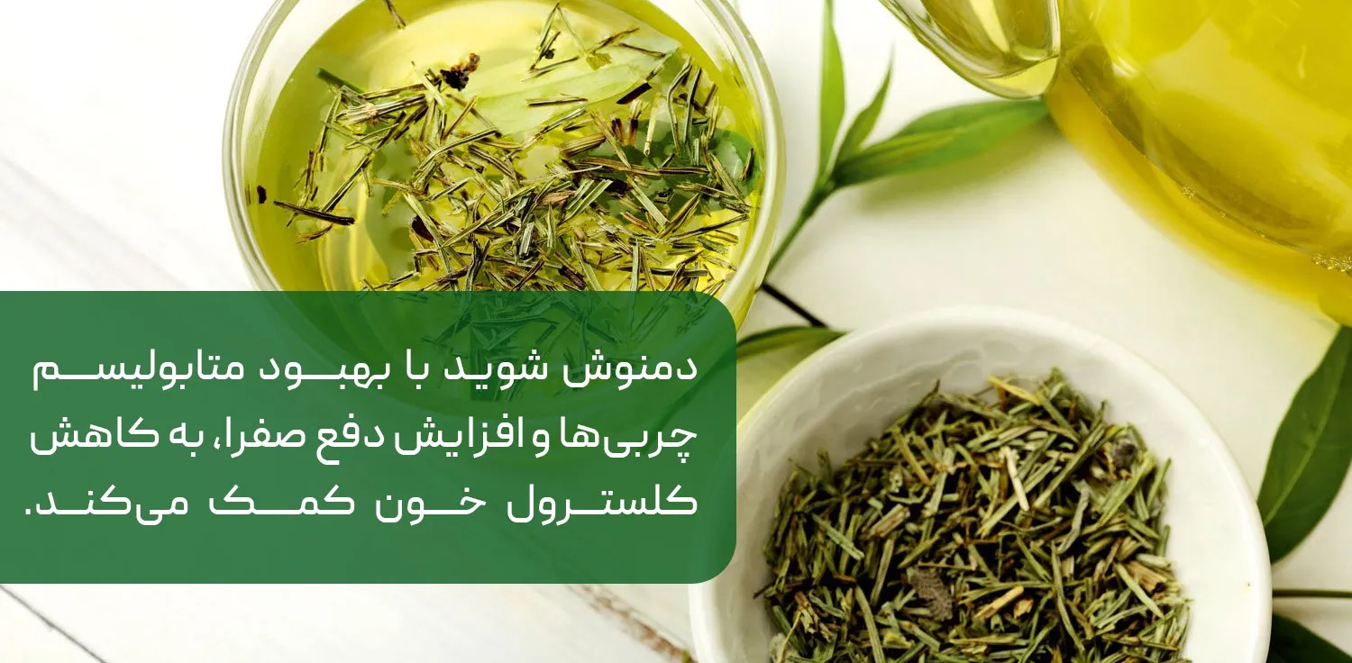 انواع دمنوش های شوید