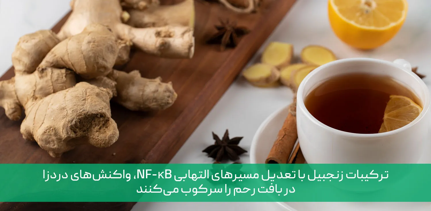 دمنوش زنجبیل برای پریود شدن