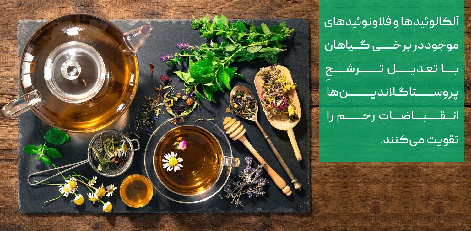 بهترین دمنوش برای پریود شدن