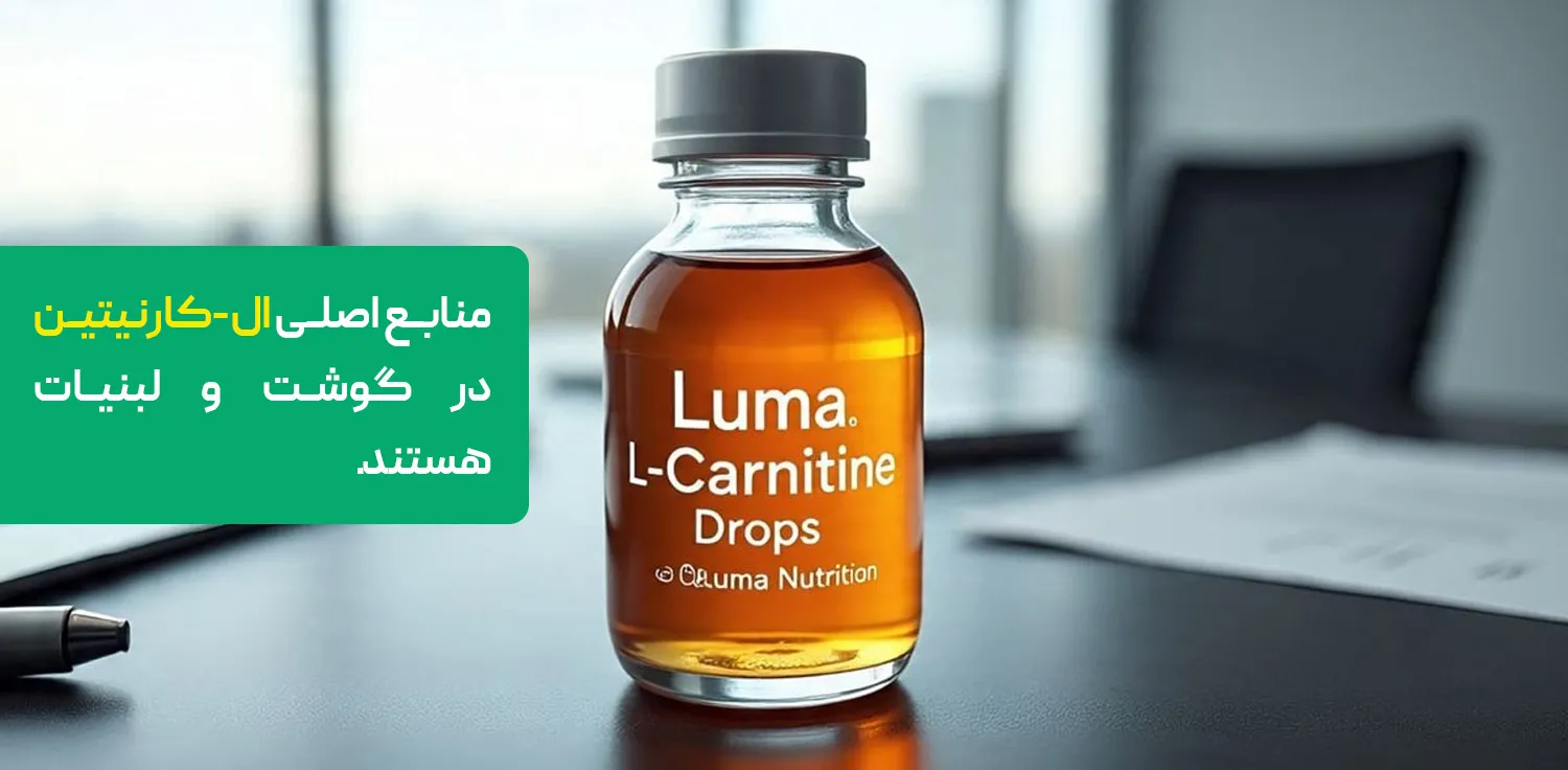 ال کارنیتین چیست؟