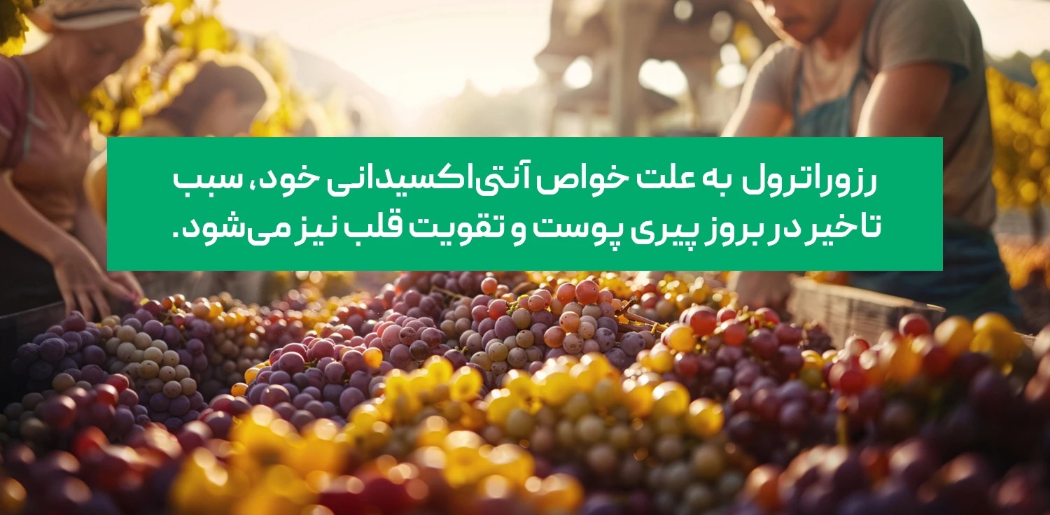 میوه های مفید برای کاهش کراتین خون
