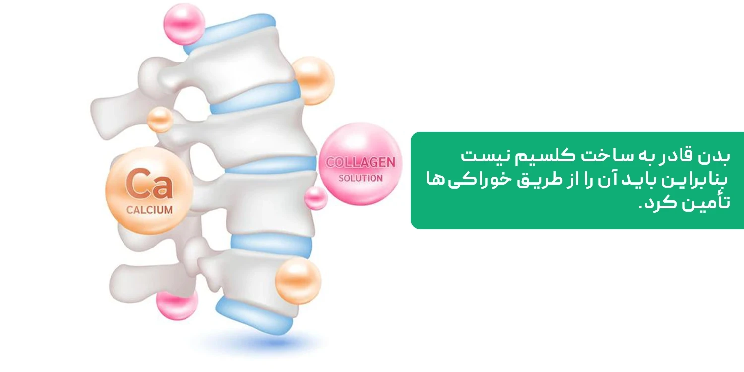 غنیترین منابع کلسیم کداماند؟