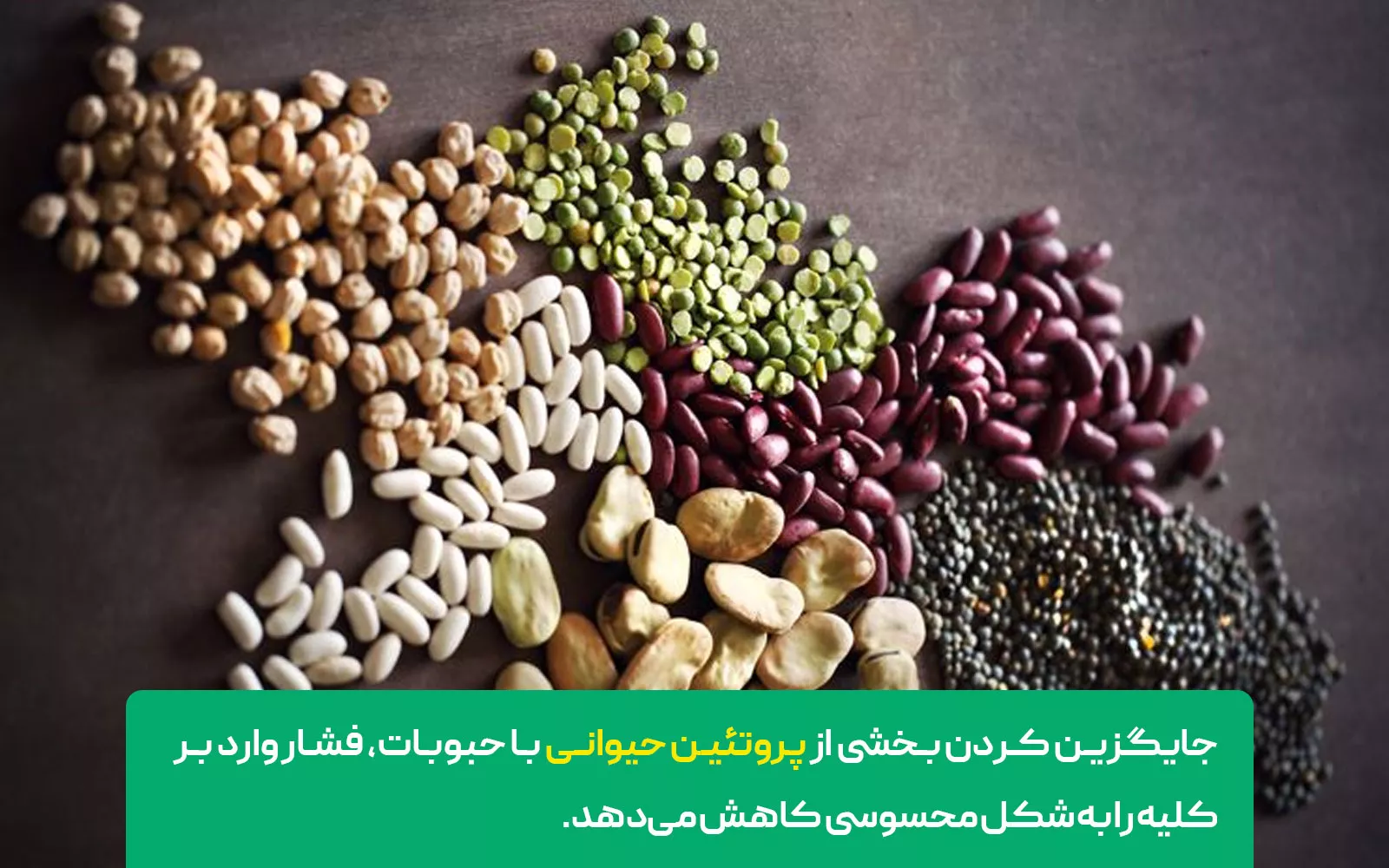 حبوبات (عدس، لوبیا، نخود) – بهترین جایگزین پروتئین حیوانی