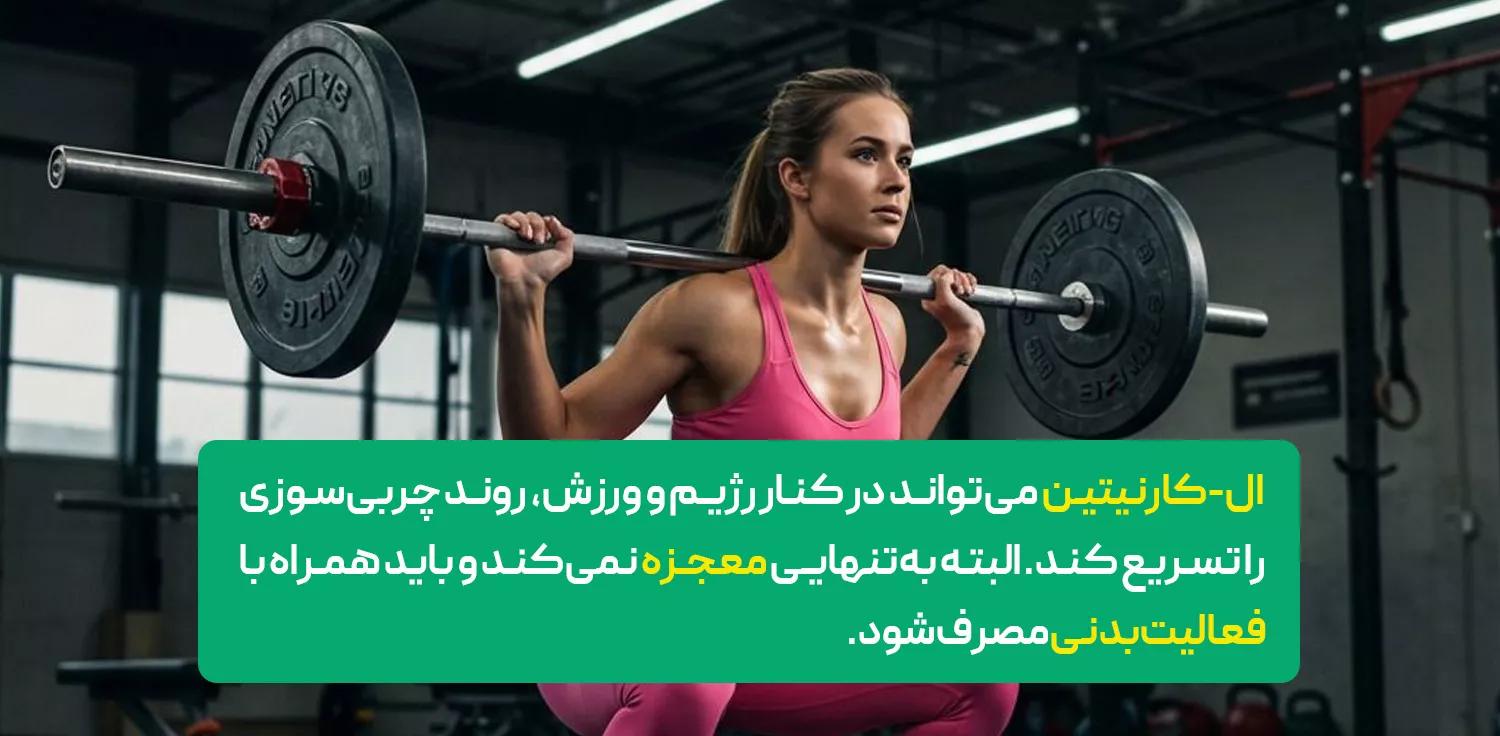 ورزش و ال کارنیتین