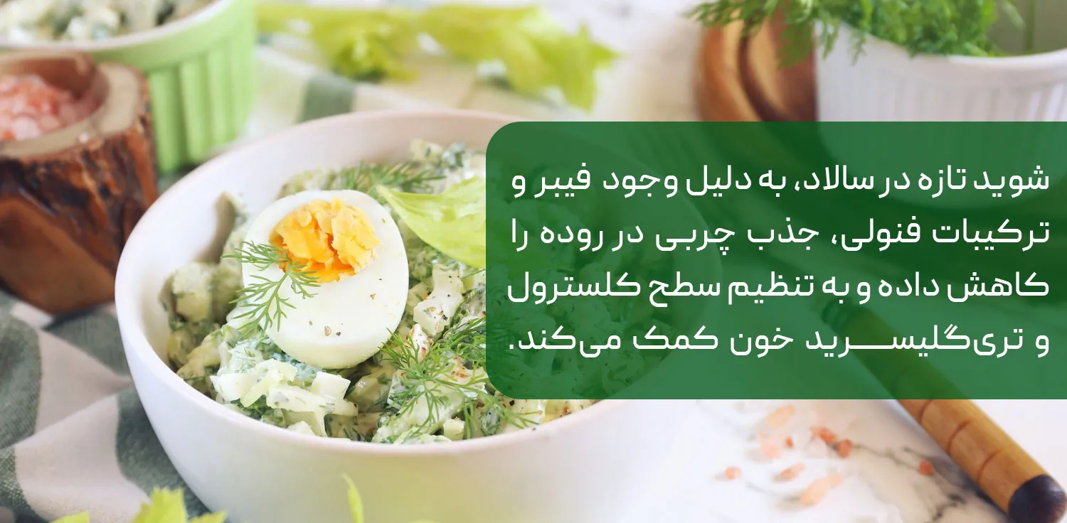 انواع طریقه مصرف شوید برای چربی خون