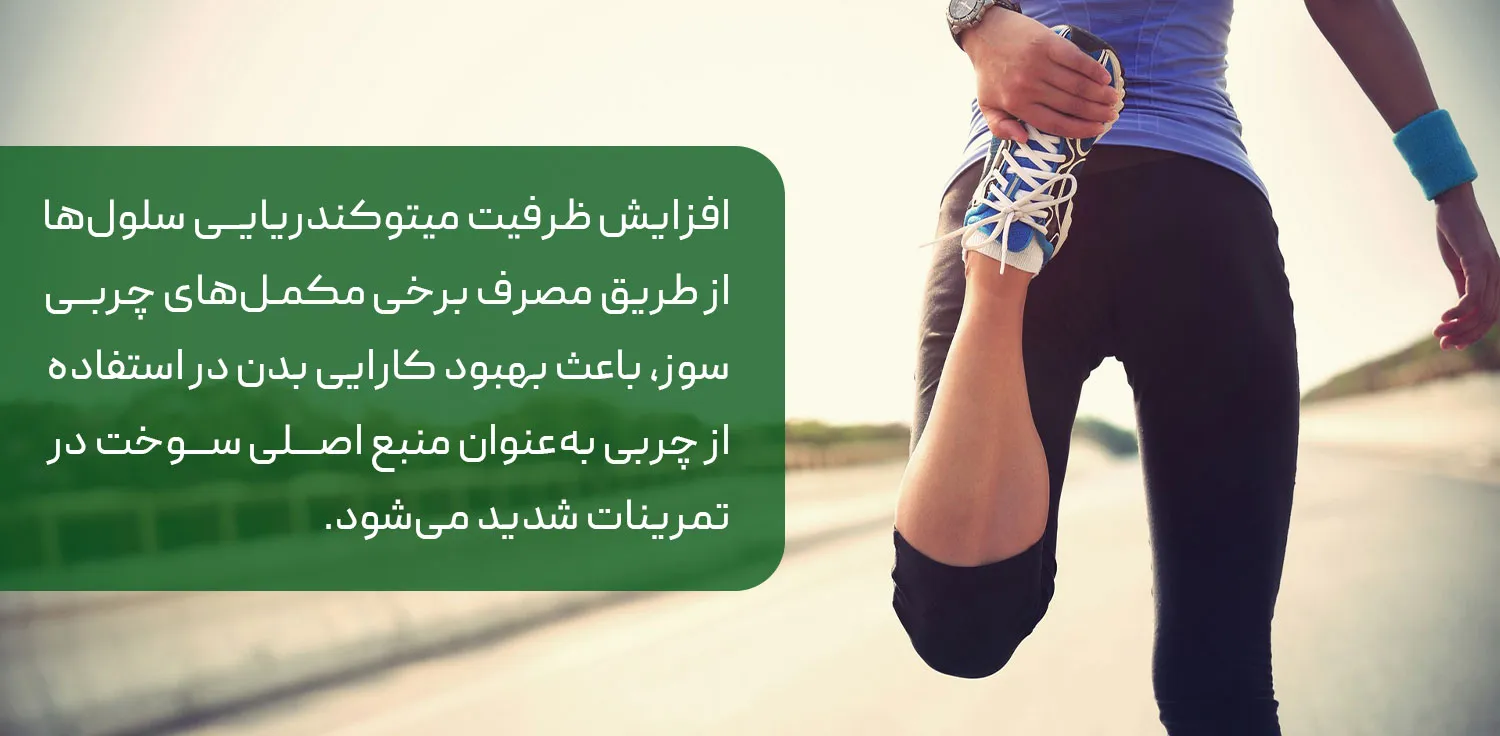 مکمل چربی سوز برای بانوان ورزشکار