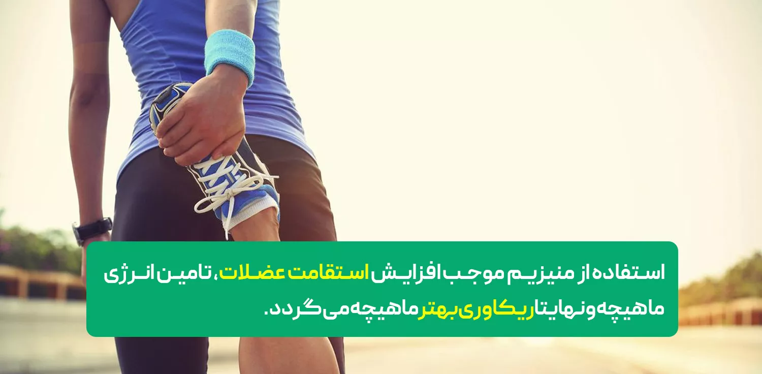 منیزیم؛ پای ثابت تمرینات ورزشی سنگین در بدنسازان