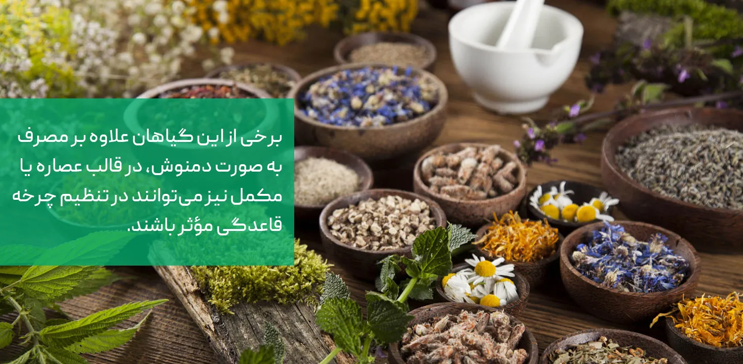 بهترین گیاهان دارویی در پریودی