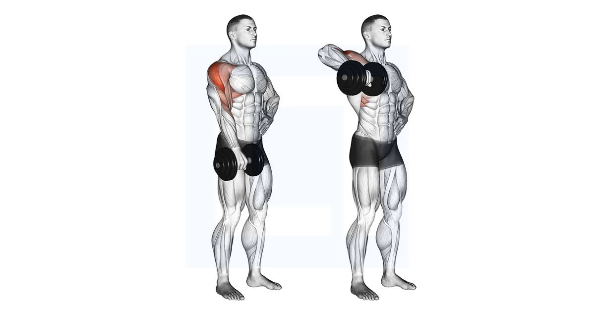 Single-Arm Dumbbell Upright Row