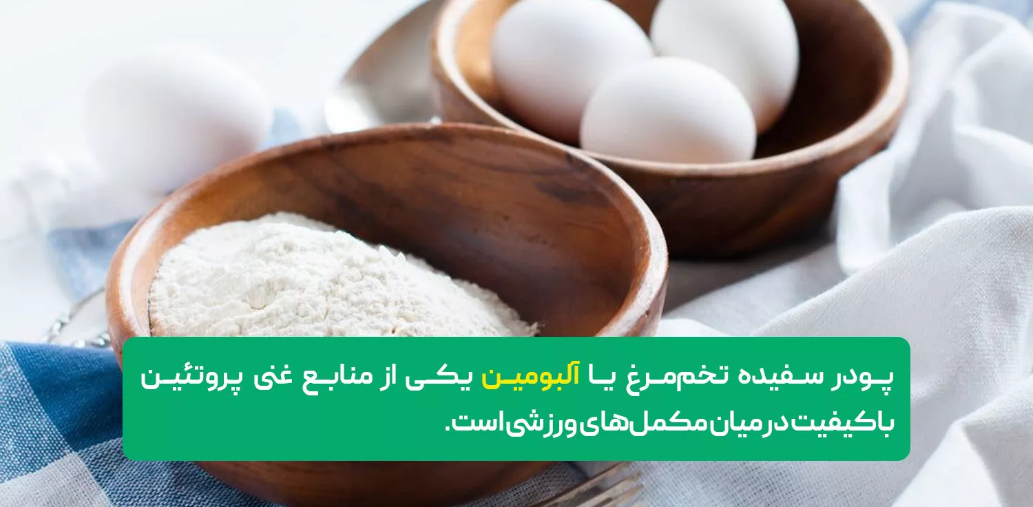 معرفی پودر سفیده تخمه مرغ 