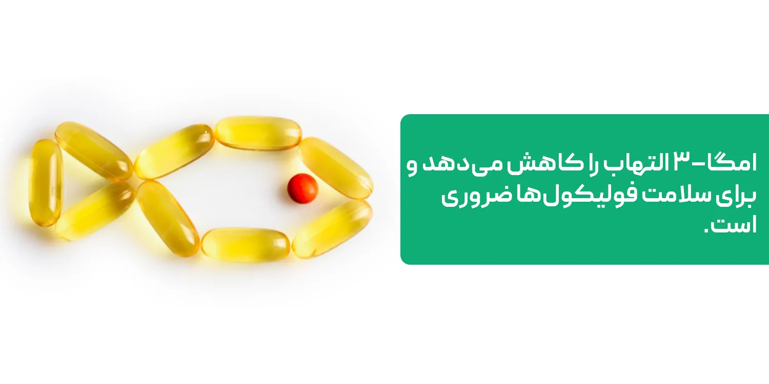 غذاهای حاوی امگا–۳