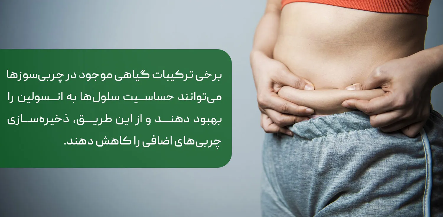 بهترین مکمل چربی سوز برای بانوان غیر ورزشکار