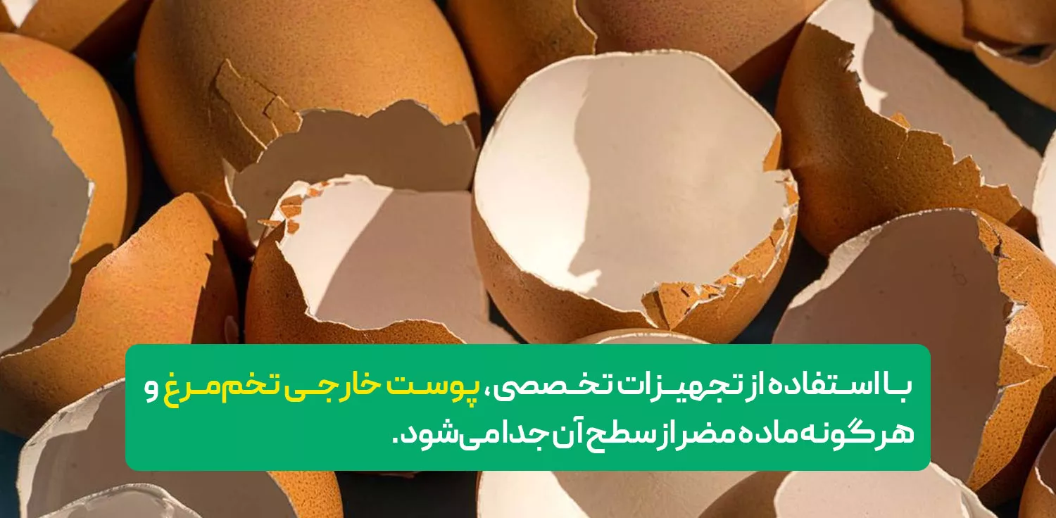 طرز تهیه پودر سفیده تخم‌مرغ