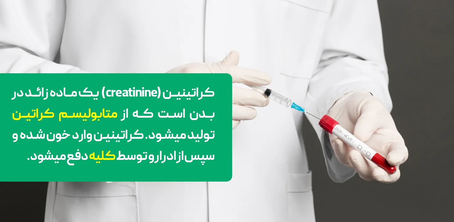  کراتینین وارد خون شده و سپس از ادرار و توسط کلیه دفع می‌گردد