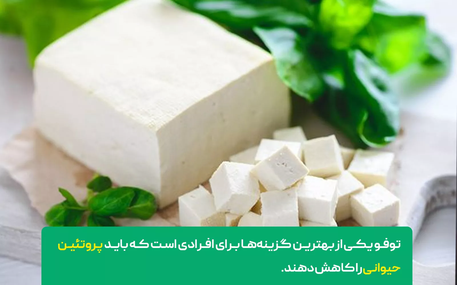 توفو (پنیر سویا) – پروتئین گیاهی سالم و کم‌فشار برای کلیه‌ها