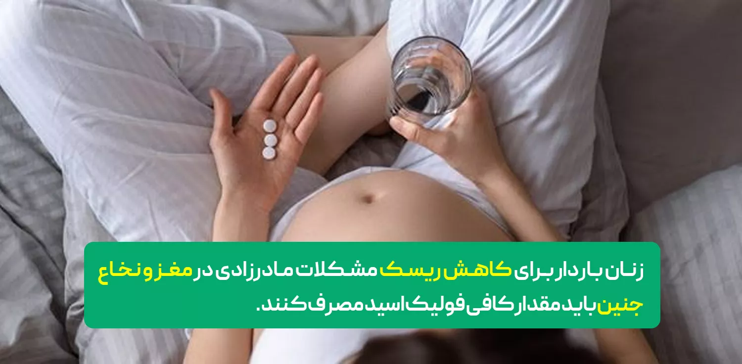 وظایف اصلی فولیک اسید در بدن