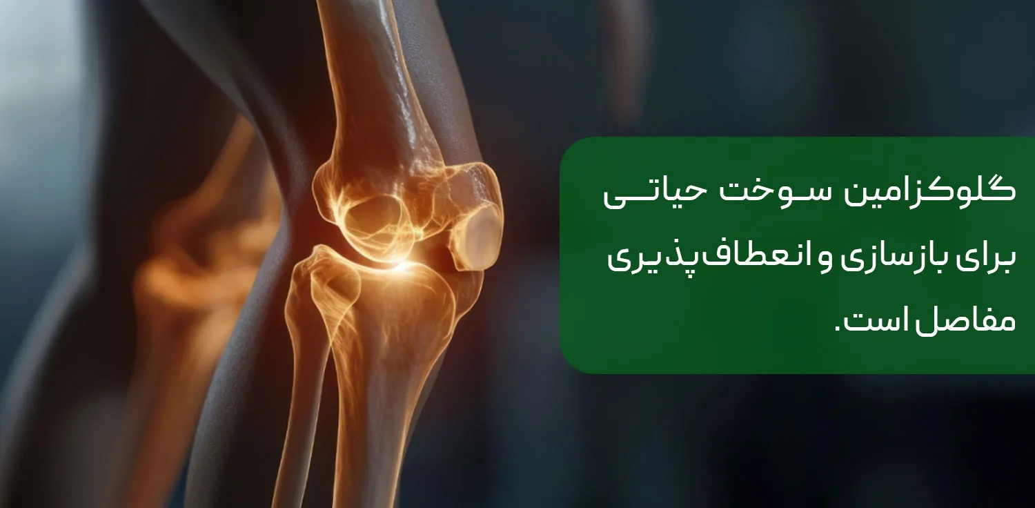 گلوکزامین چیست