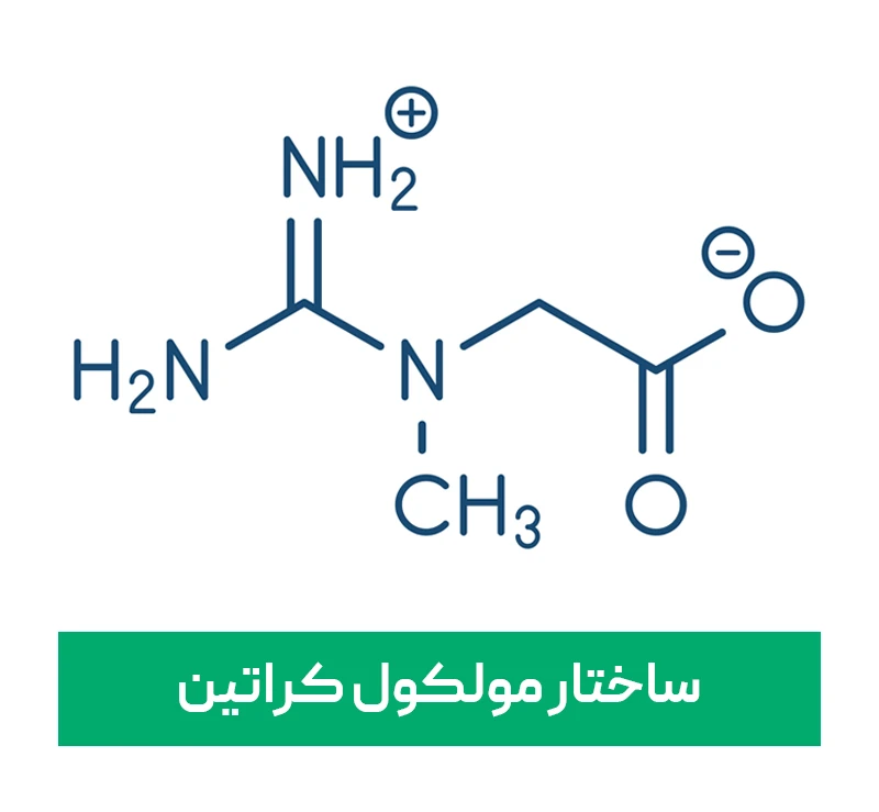 ساختار مولکول کراتین | داروخانه آنلاین ژن سبز