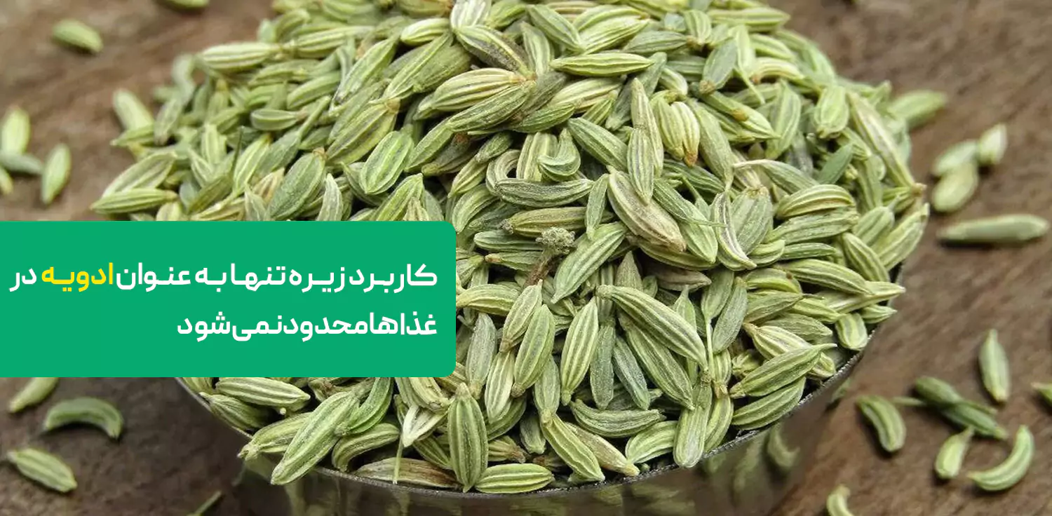 کاربرد زیره تنها به عنوان ادویه در غذاها محدود نمی‌شود