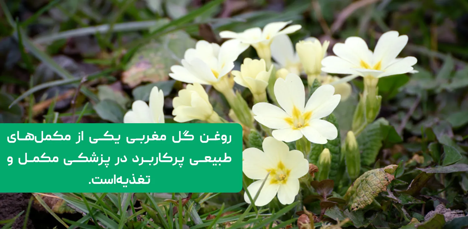 روغن گل مغربی یکی از مکمل‌های طبیعی پرکاربرد در پزشکی مکمل و تغذیه است.