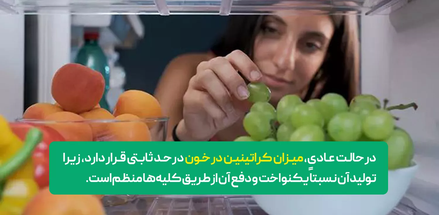 creatinine در آزمایش خون چیست؟