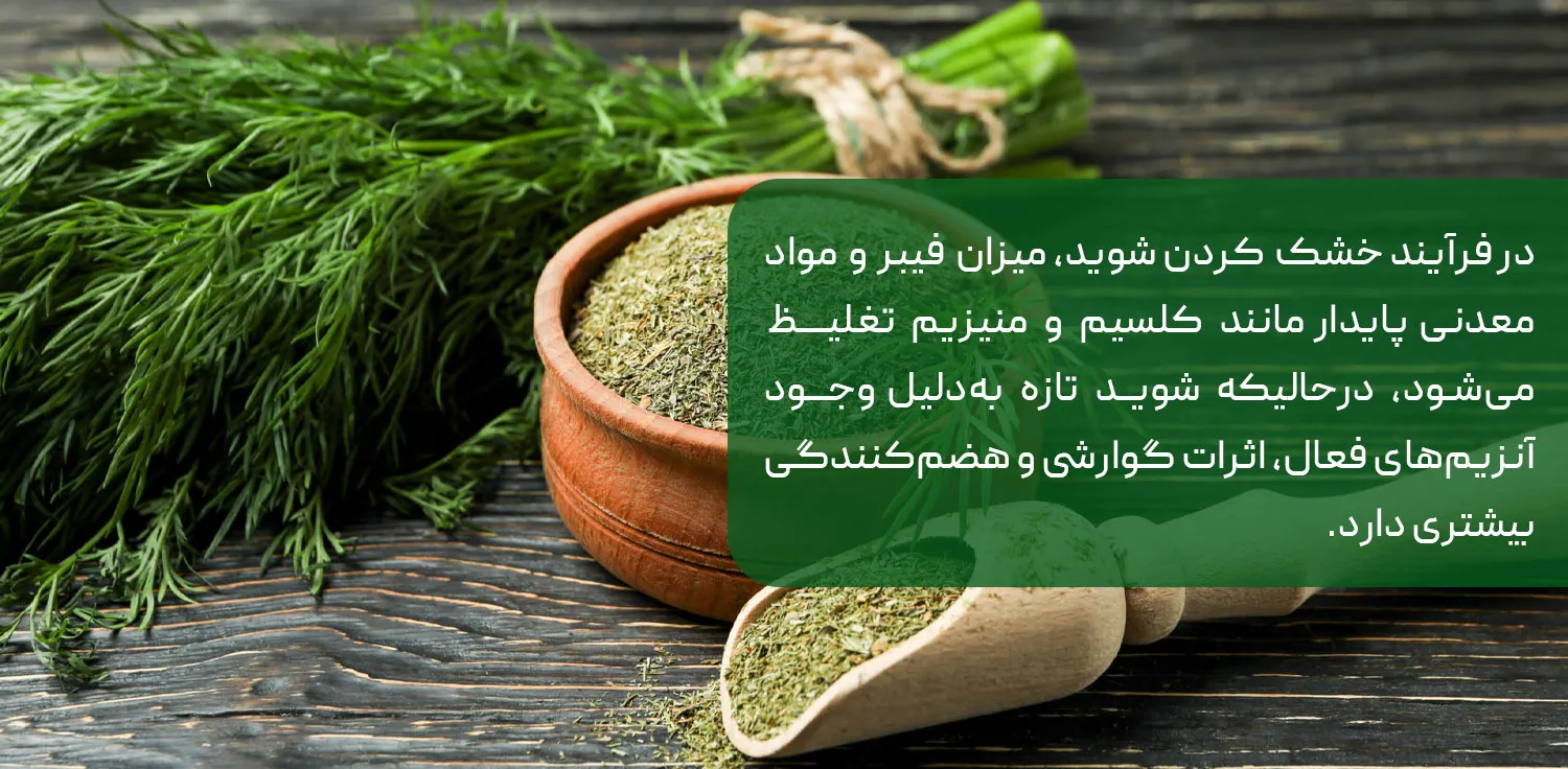 تفاوت بین خواص شوید خشک و تازه