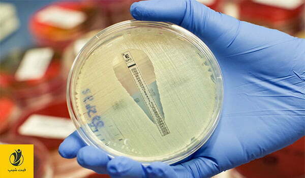 تست بیوگرام یک تست برای تعیین میزان حساسیت باکتری ها به آنتی بیوتیک است.