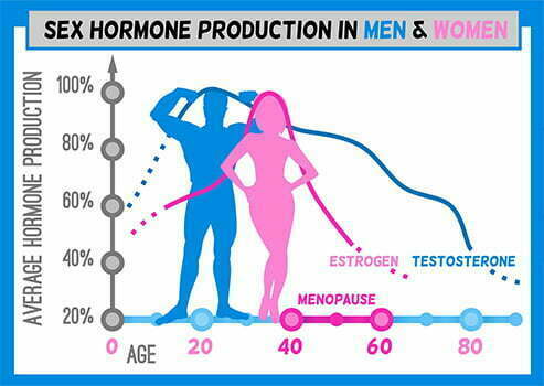 هورمون‌های جنسی که در مردان تستوسترون و در زنان استروژن باشند، نقش بسیاری در تاثیر بدنسازی بروی بدن زنان دارند - مجله ژن سبز