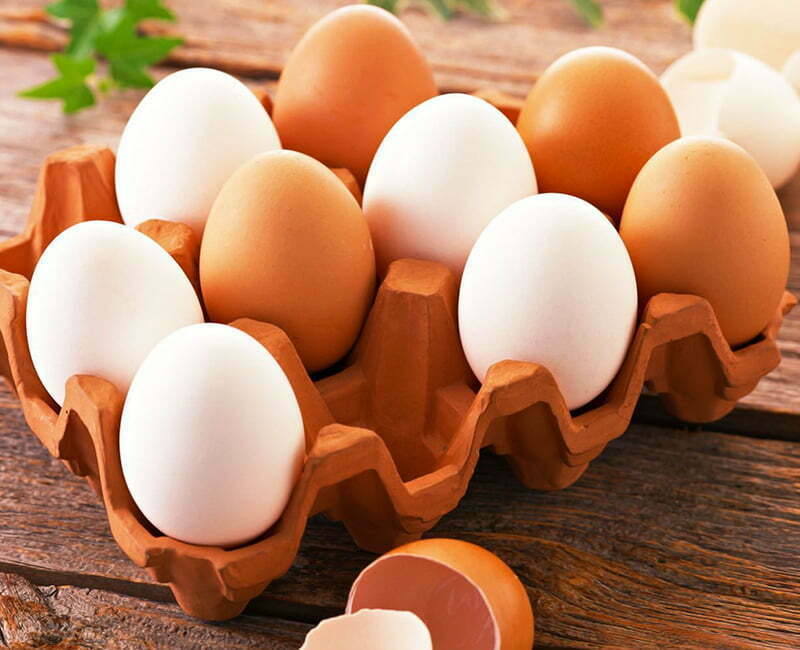 پروتئین تخم مرغ برای لاغری