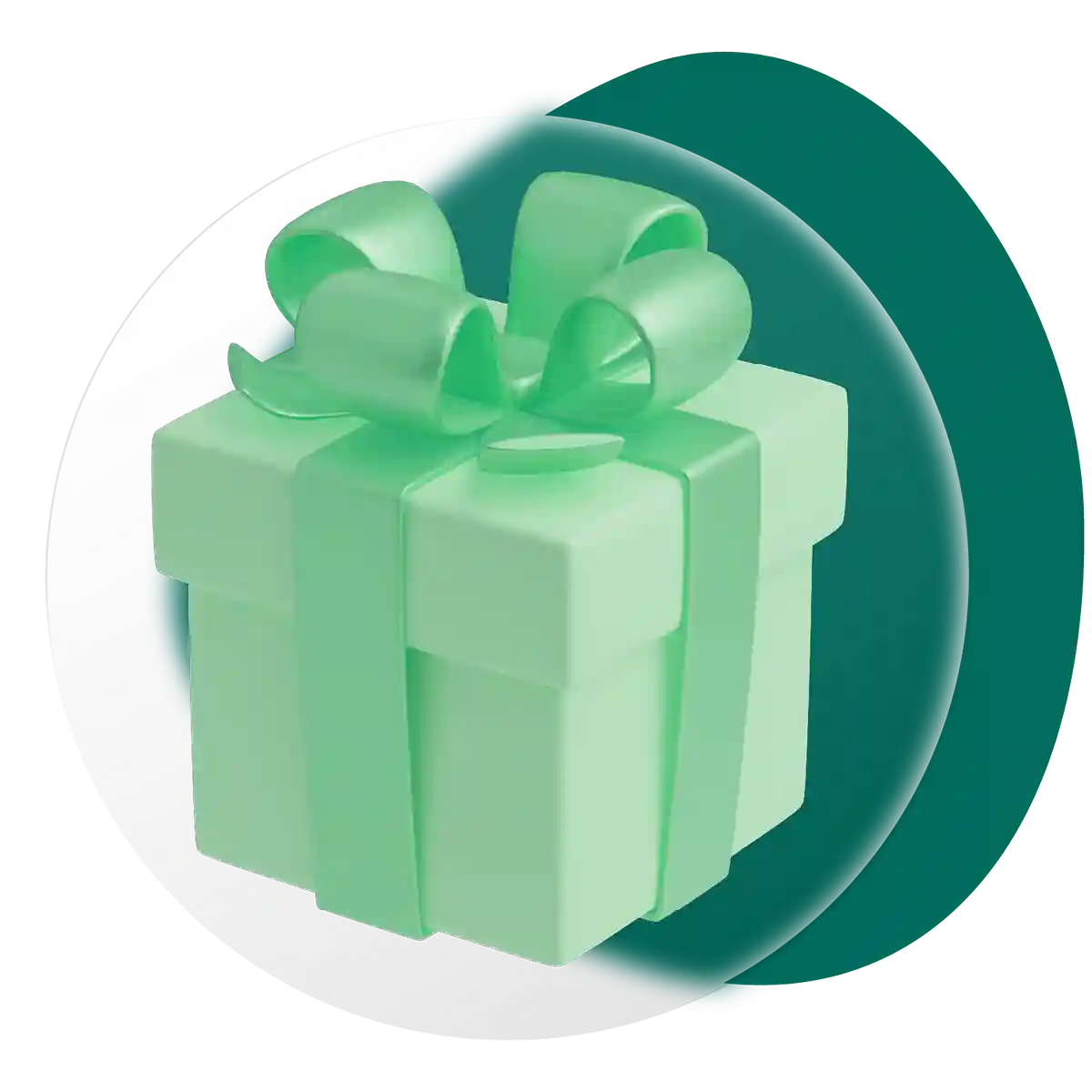 پکیج های ویژه