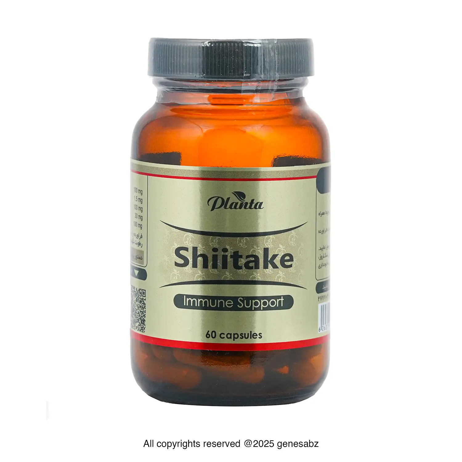 کپسول شیتاکه 60 عددی پلانتا