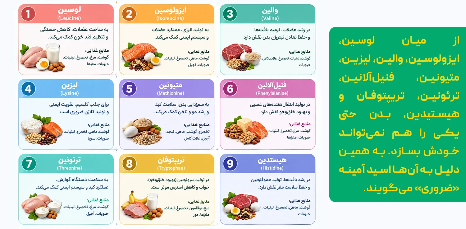 مکمل EAA چیست