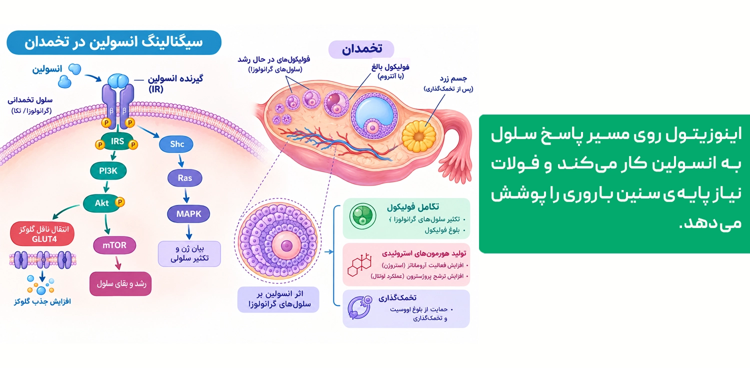 قرص اوزیل برای چیست؛ ترکیبات، موارد مصرف و عوارض